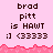 Pixelated pink background with repeated text 'brad pitt is HAWT ;] <33333' and a jagged red border, showing two distinct states.
