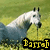 A horse in a grassy field with yellow text reading 'Barah Loves Arabs' in four