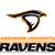 Pixelated graphic of a stylized bird head with orange and black outlines above bold text reading 'RAVENS' in black and orange.