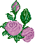 Four vertical of pixelated pink roses with green leaves on a light gray background, each showing distinct rose bloom stages
