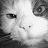 A grayscale pixelated static icon showing a partial face with visible eyes and mouth, rendered in low resolution with dithering effects.