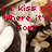 Pixelated image with red text overlay on a background of white and brown shapes, showing partial phrases about kissing.