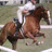 Pixelated image of a person riding a brown horse in mid-gallop against a muted green background.