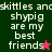 Text-based icon with four quadrants displaying 'skittles and shypig are my best friends' in white pixelated font, two stars as visual accents.