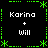 Four identical display 'Karin + Will' text with green pixelated borders on black background