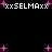 Pixelated text 'xxSELMAXx' appears in white with pink plus signs scattered across a black background, animated as static content.