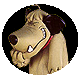 Animated cartoon dog with light brown fur, dark brown ears, and a red collar; head turns slightly left to right while maintaining paw over mouth.