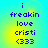 Pixelated text on a gradient background with four identical showing 'i freakin love cristi (333)' in blue letters