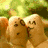 Animated contact sheet showing four distinct frames of a buddy icon sequence with varied subjects and backgrounds.