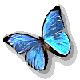 Three blue butterflies with black outlines and subtle gradient shading appear in a static arrangement against a solid gray background.