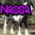 Pixelated image of a horse with a rider, overlaid with purple text reading "Nassa" in two locations, set against a blurred natural background.