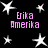 Black background with white star shapes and pink text reading 'Erika Amerika' in four locations.