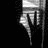 Black-and-white animated sequence showing a hand making peace sign with fingers, text progressively forming 'PEACE' below the hand.