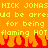 Pixelated orange background with yellow text repeating 'NICK JONAS' and 'should be arrested for being flaming HOT', red pixel flames at bottom.