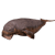 Animated sequence of a brown sea creature with textured skin, moving across white background in