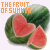 A 50x50 pixel animated buddy icon featuring a watermelon with text, displayed as two frames in a contact sheet layout showing color variation and small animation elements.