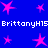 Blue background with pink star shapes and repeated white text "BrittanyH15" in pixelated font.