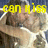 A pixelated image of a person in a white shirt with arms raised, overlaid with yellow text reading "can I kiss u?" against a blue background.