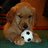 A brown puppy with floppy ears holds a black-and-white soccer ball on a green surface, against an orange background.