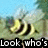 Animated bee with yellow and black stripes flies against a blurred green background, text changes from 'Look who's mayor now' to 'mayor bee' repeated.