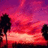 Pixelated sunset scene with pink and purple sky, two dark tree silhouettes on left, red text reading 'The Summer Is still Here! 07 <33' on black background.