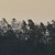 A static pixelated image shows a dark, indistinct landscape with blurred shapes against a light gradient background.