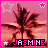 Pixelated animated buddy icon featuring palm tree silhouette against pink sunset sky with star symbols and 'JASMINE' text in black box at bottom.