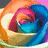 A pixelated circular icon with a swirling rainbow gradient transitioning from orange to pink to blue, set against a light background.