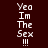 Pixelated text "Yea Im The Sex !!!" displayed in four distinct color variations across a