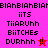 Pixelated text and star icons on pink/red backgrounds with repeated 'BIAN' borders, showing two variations of a single design.