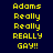 Pixelated yellow text on four distinct background colors reads "Adams Really Really REALLY GAY!!" in a