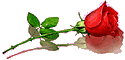 Static image of a red rose with green leaves and stem on a gray background, rendered in low-resolution pixel art style with visible dithering and anti-aliasing.