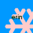 Four identical light pink snowflake icons on a solid blue background, each with the text 'erin' in dark green pixelated font overlaid.