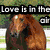 Four- of horse and rider images with overlaid text fragments, each showing a different horse pose or action