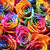 Pixelated floral pattern with multicolored roses and bright pink text reading 'RAINBOW! 43' on a gray background.