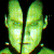 Pixelated green cartoon face with large ears and closed eyes on black background, static single-frame icon.