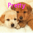Two puppies lie on a light-colored surface; one is light-colored, the other brown. Pink text appears above them.