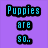 Pixelated text and grayscale puppy image divided into four quadrants with colored backgrounds.