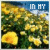 A static image of yellow flowers in a field with blue sky, overlaid with pixelated text reading "IN MY FIELD OF PAPER FLOWERS" across multiple