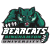Pixelated green cartoon cat with glowing eyes and red nose above white text reading "BEAR GRYLLS" on a black background, rendered in low-resolution 8-bit style.