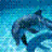 Pixelated image of a dolphin swimming in blue water with the word 'dolphin' written in pixelated text on the right side.