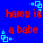 Blue background with red text reading 'haley is a babe' and cyan square-dot patterns in four corners.