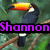 Pixelated image of a toucan perched on a branch with a colorful beak, set against a green foliage background and overlaid with purple text reading "Shannon".