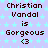 Pixelated text on a light purple background with cyan stars, repeating 'Christian Vandal is Gorgeous <3' in multiple