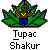 Pixel art of a brown-skinned figure in blue pants and yellow necklace standing amid green leaves, with text below reading Tupac Shakur 1971-1996 RIP.