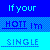 Static pixel art icon with blue background and text reading "If your HOTT Im SINGLE" in cyan and dark blue pixels.