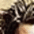 A 50x50 pixel animated contact sheet showing three sequential frames of a cartoon-style character with curly brown hair and light skin, wearing dark clothing with white accents.
