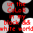 Red text on black background with gray and white circular shapes, displaying repeated phrases including 'ur the CoLoR in my block' and 'white world'.