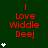 Green background with red text reading "I Love Widdle Deej" and white star icons in varying quantities across three