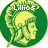 Green circular icon with yellowish-green figure wearing helmet, displaying text 'Lillios' on left and '8' on right.